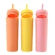 Pastel Double Wall Tumbler Splash Proof Lid